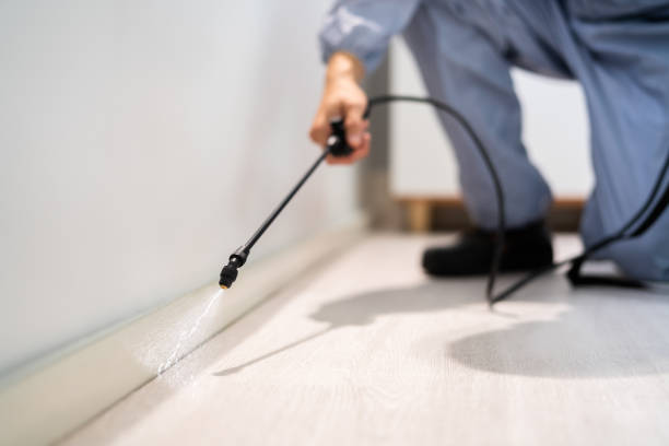 Licensed Pest Control service in Milan, IL - Show Me Pest Control